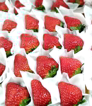 ホールパックのいちご達。たくさんのお客様に喜んでいただけるよう、真心こめてお届けしております。