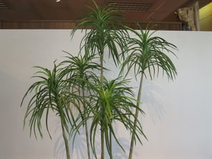 インテリアグリーン　フェイクグリーン　人工樹木　インテリア　栃木県家具　東京デザインセンター