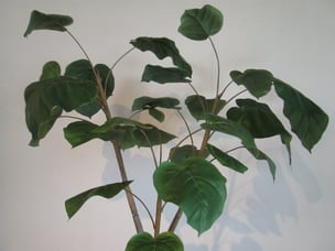 インテリアグリーン　フェイクグリーン　人工樹木　インテリア　栃木県家具　東京デザインセンター