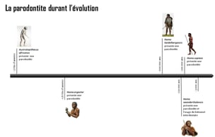 La préhistoire de la parodontologie © ParoSphère 