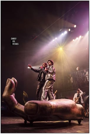 Photographe de prestation scéniques et concerts en Belgique