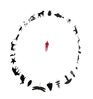 Natur aus Sicht des Menschen