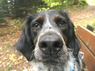 Hä? Was muss ich? (Foto E. Hufschmid)