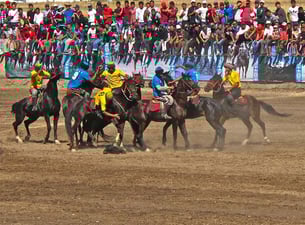 die tote Ziege mußte im Galopp augenommen werden