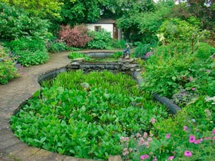 Jardin Clos Clémalluce (Photo du Propriétaire) 