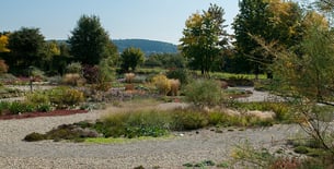 Jardin des sens (Photo prise le 28/09/2008 Alain Tessier)