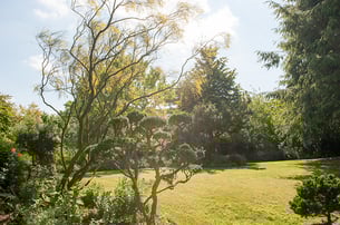 Jardin de Francine et Maurice Riez. (Photo Alain Tessier). 