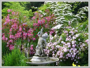 Photo offerte par Mr Baudouin et Mme Yukiko Cauwenberg 