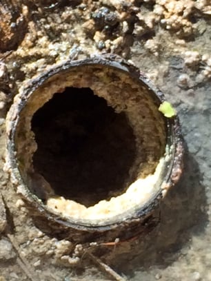 curage de canalisations toulouse