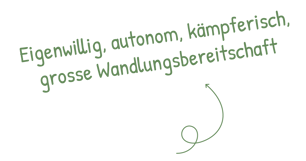 merkmale-baumhoroskop-zeder