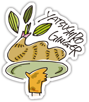 やつしろジンジャー・八代生姜のすゝめ