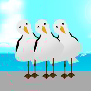 暑中見舞いがよくわかってないかもめイラスト。