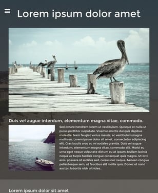 レイアウト Cape Town