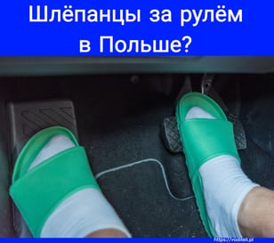 Шлёпанцы за рулём