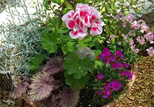 宮子花園は四季折々の花やグリーンで、その季節にあった長く楽しめる寄せ植えをお作りいたします。