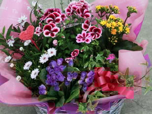 宮子花園の花かごセット大は、ボリュームがあって豪華なお花のギフトです。