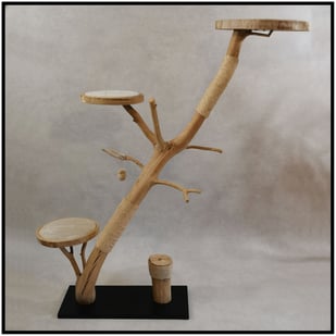 N'est pas disponible