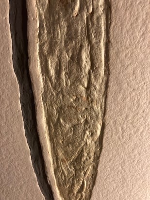 Ausschnitt der Grafik 