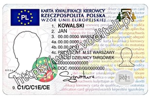 Карта квалификации водителя