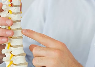 chiropractic infographic