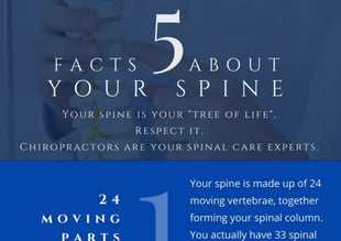 infographic-5-spine-facts