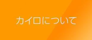 カイロについて