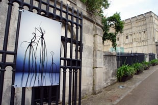 Creating the Edible East Art Science Trail 2021