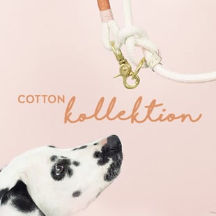 Cotton kollektion