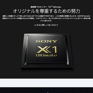 SONY BRAVIA Master Series