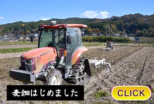 2025/12/10 麦畑はじめました