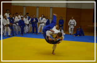Judo SLZ St.Pölten