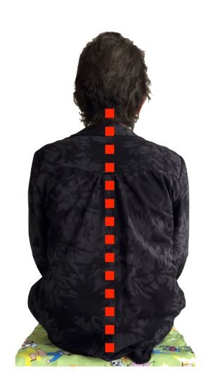 骨盤コントロール補助器「ニュートラル」を使用後の姿勢　姿勢改善・歩き方改善ラボ【㈱n-position】骨盤コントロール補助器「ニュートラル」開発会社