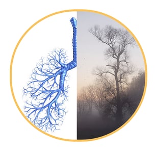 iyengaryogaworkshop, ChristineYoga, ChristineBader, iyengaryogaseminare, pranayama, yogaworkshop, atemtechnik, atemkurs, breathwork