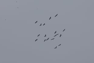 Foto: Michael Herzig