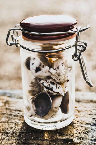 déco bord de mer coquillages