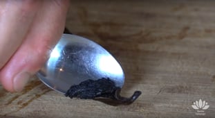 Vanilleschote auskratzen Loeffel