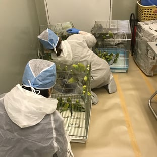 健康チェックと検体採取の様子