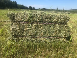 Hay From Our Farm