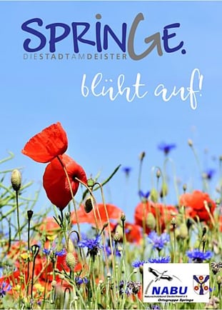 Saattüte mit Mohn und Kornblumen vor blauem Himmel darauf