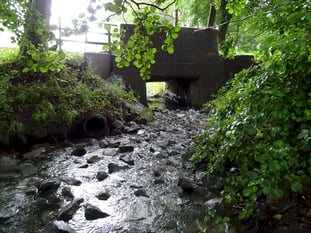 Fotos vom Mühlbach in Springe, Beschreibung siehe Text