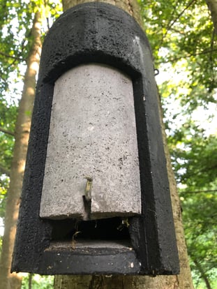 Fledermauskasten von vorn