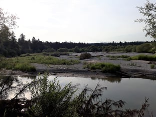 Wiederansiedlungsstandort am 05.07.2019: aus der Insel ist eine große Kiesbank mit Landanschluss geworden, Abfluss ca. 22 m³/s, Foto: Fabian Unger