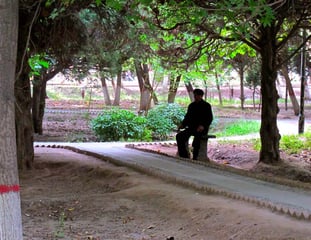 ein einzelner Chinese im Park