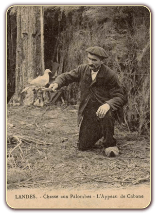 orthe landes peyrehorade aquitaine chasse, bois, foret, veneur, curée, gibier, sorde hastingues cagnotte gave adour saumon chalosse abbaye