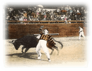 orthe, landes, aquitaine, peyrehorade, course landaise, ganaderia, sauteur, cordier, talanquère, vache