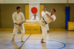 24.06.2019 Gürtelprüfungen