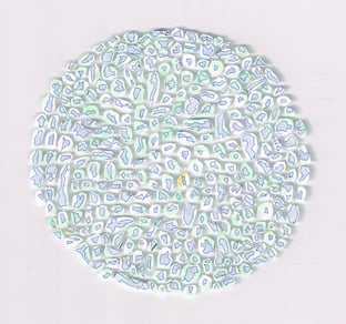 Morula (15 cm x 15 cm)