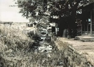 晩年の御用水(昭和40年代、名古屋堀川ライオンズクラブ資料集より)