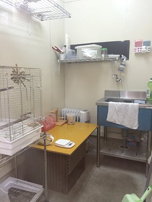 引取られた後は検疫室で、45日間隔離されて過ごします