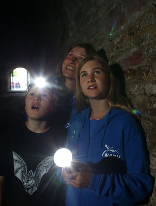 Fledermausbeobachtung bei der Batnight